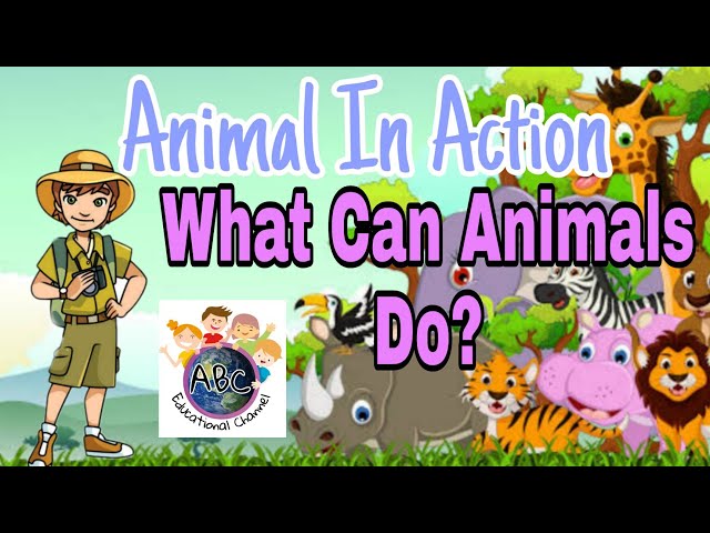 What Can Animals Do - Animal In Action - Modals: Can
