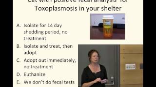 Toxoplasmosis: Truth, Fiction, and Crazy Cat Ladies?  full video  conference recording