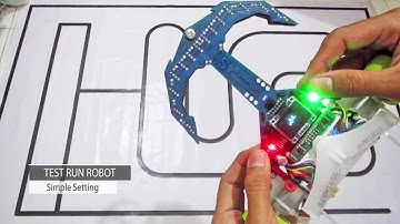 RUN TEST Ichibot Ultimate 4s (Simple Setting)