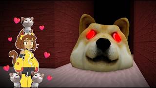 Kit From Gameoverse Rescues Her Kitten From Hungry Doges - Roblox