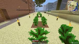 Celebrity Minecraft Java 05 21 2026 10 15 8 900 Profile