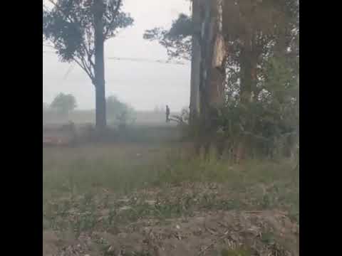 INCIDENTES EN LEON ROUGES: LA POLICIA REPELO A TIROS A LOS MANIFESTANTES