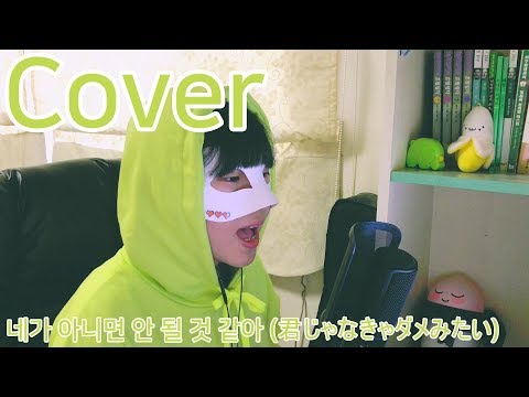 네가 아니면 안 될 것 같아(君じゃなきゃダメみたい)｜Cover by 상자