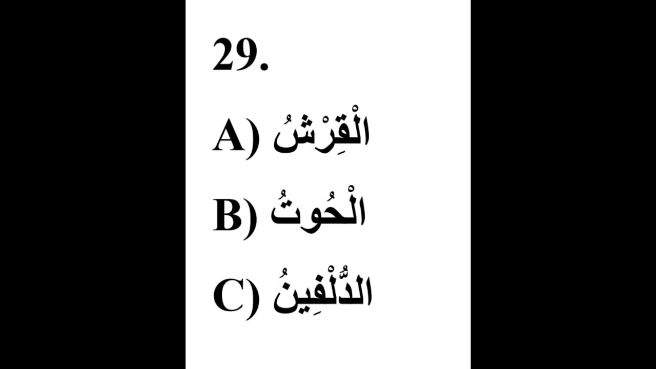 29 #cefr #arab tili #tinglab tushunish  #part1