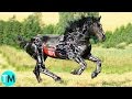 10 Animales Robots QUE NO CREERÁS QUE EXISTEN