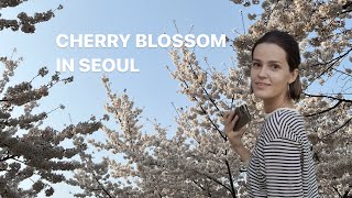 ЦВЕТЕНИЕ САКУРЫ | СЕУЛ | Локации для красивых фотографий | Cherry Blossom | Любимое место в Сеуле