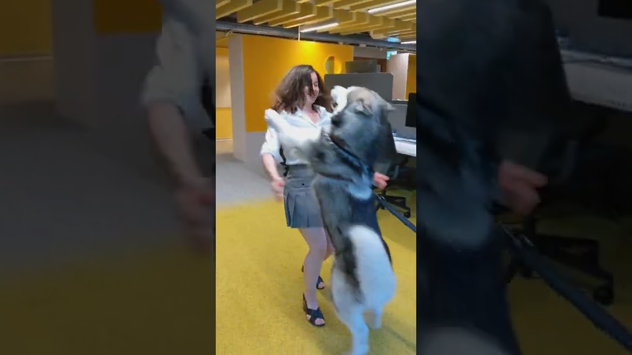 Giving my dog a huge hug after a long work day! 