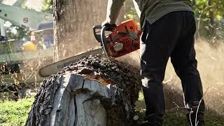 ARGE Starkholz Collaboration – Wood from Salzburg to the World