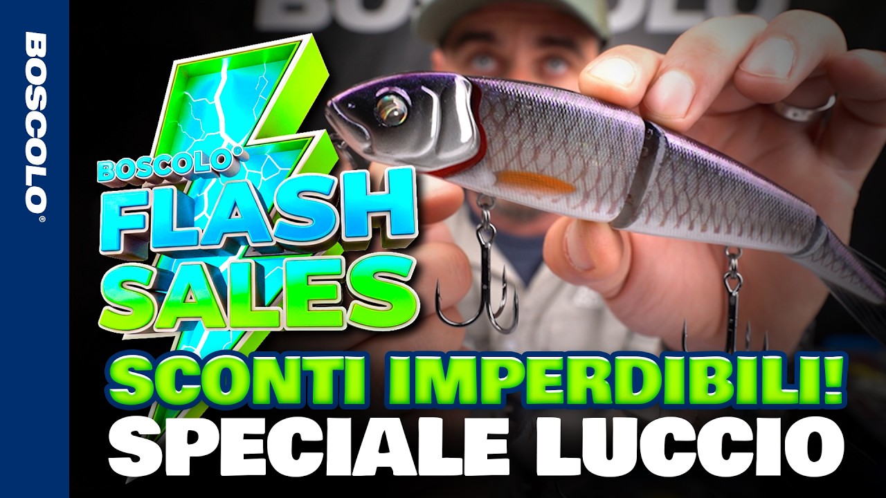 Ganci Offset Ponderati Big Fish – Senza Erbacce Per Luccio E Posatoio – Pesca Predatori