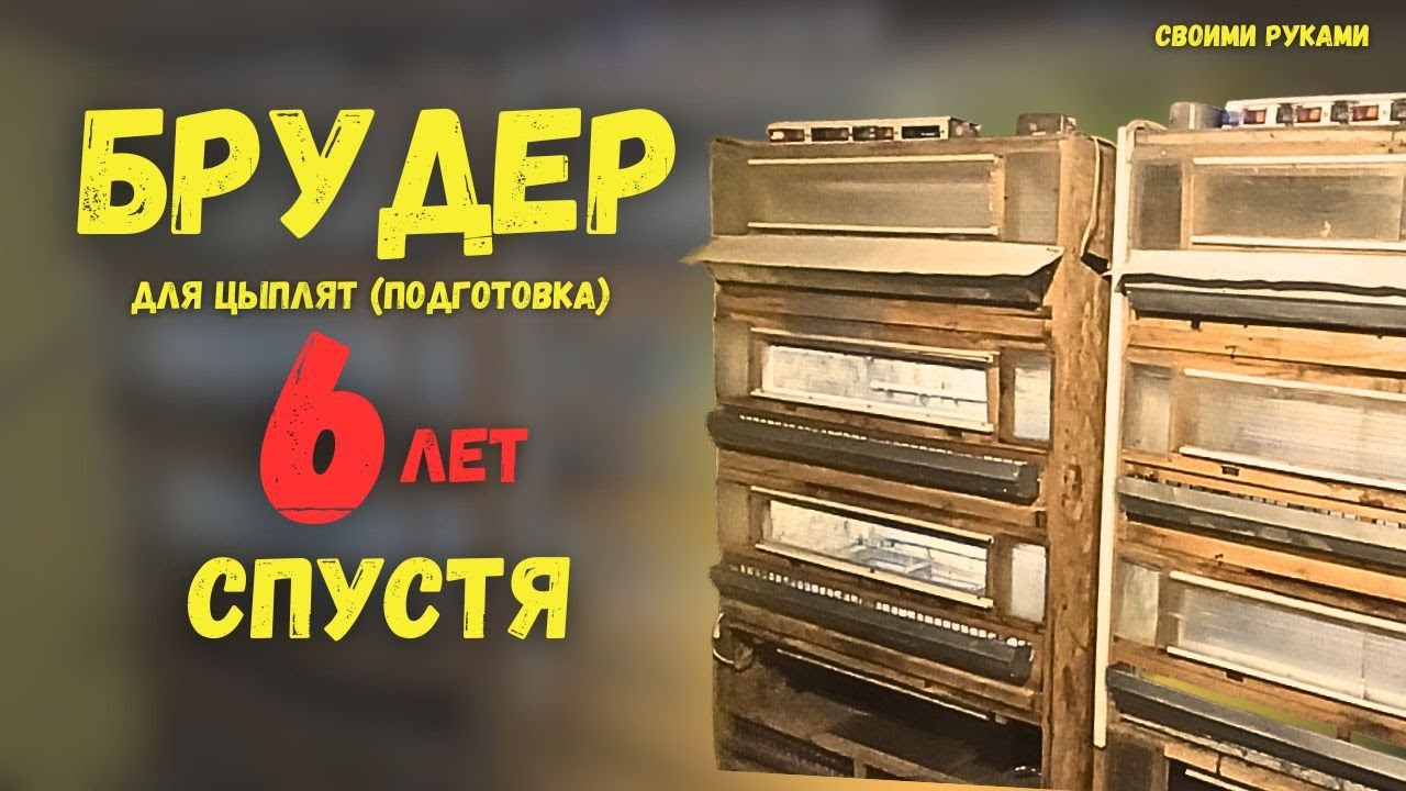 КАК изменился БРУДЕР своими руками 6 ЛЕТ СПУСТЯ