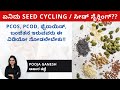 Seed cycling  cure for pcos pcod thyroid hormonal imbalance    