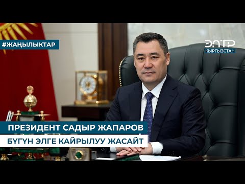 Жас кеуделі балапандардың үйдегі видеосы