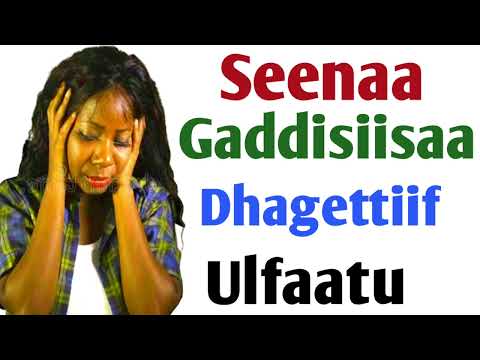 Seenaa Gaddisiisaa Dhaggeeffatamu Qabu Gurraafis Ulfaatu