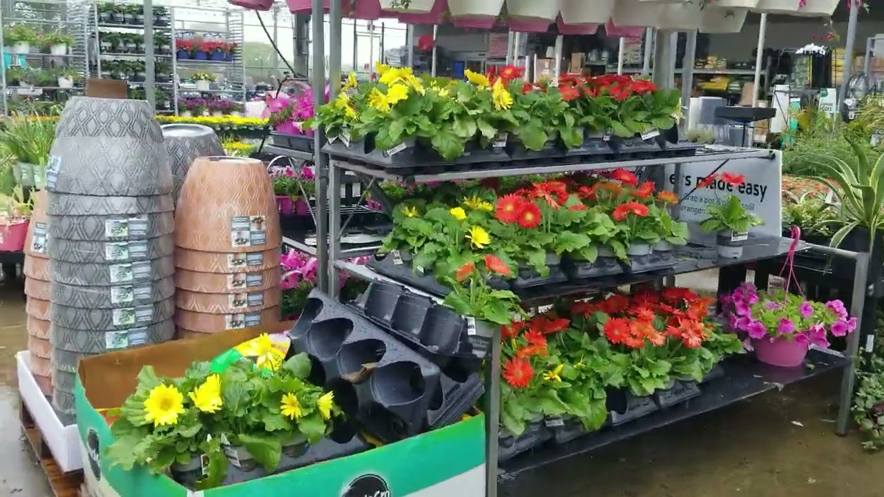 🌼🌻Walmart Spring Garden Center Haul 3x🌻🌼 YouTube