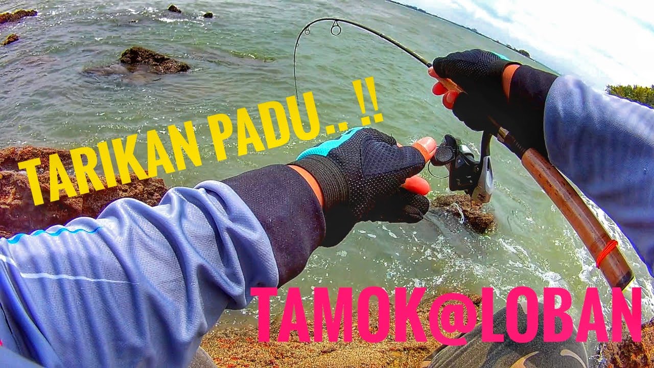 Menduga Tamok Pulau Botak Jeram, Selangor.  #Ep.25