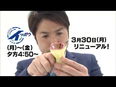 【CBC】「イッポウ」3月30日（月）リニューアル！