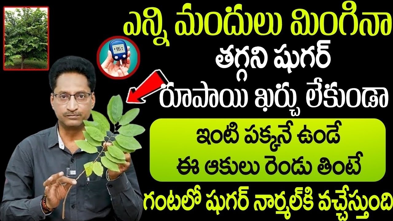 ఈ ఆకులు 2 తింటే గంటలో షుగర్ నార్మల్ | Say Goodbye to Diabetes | Custard Apple Leaves