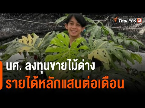 นศ. ลงทุนขายไม้ด่าง รายได้หลักแสนต่อเดือน