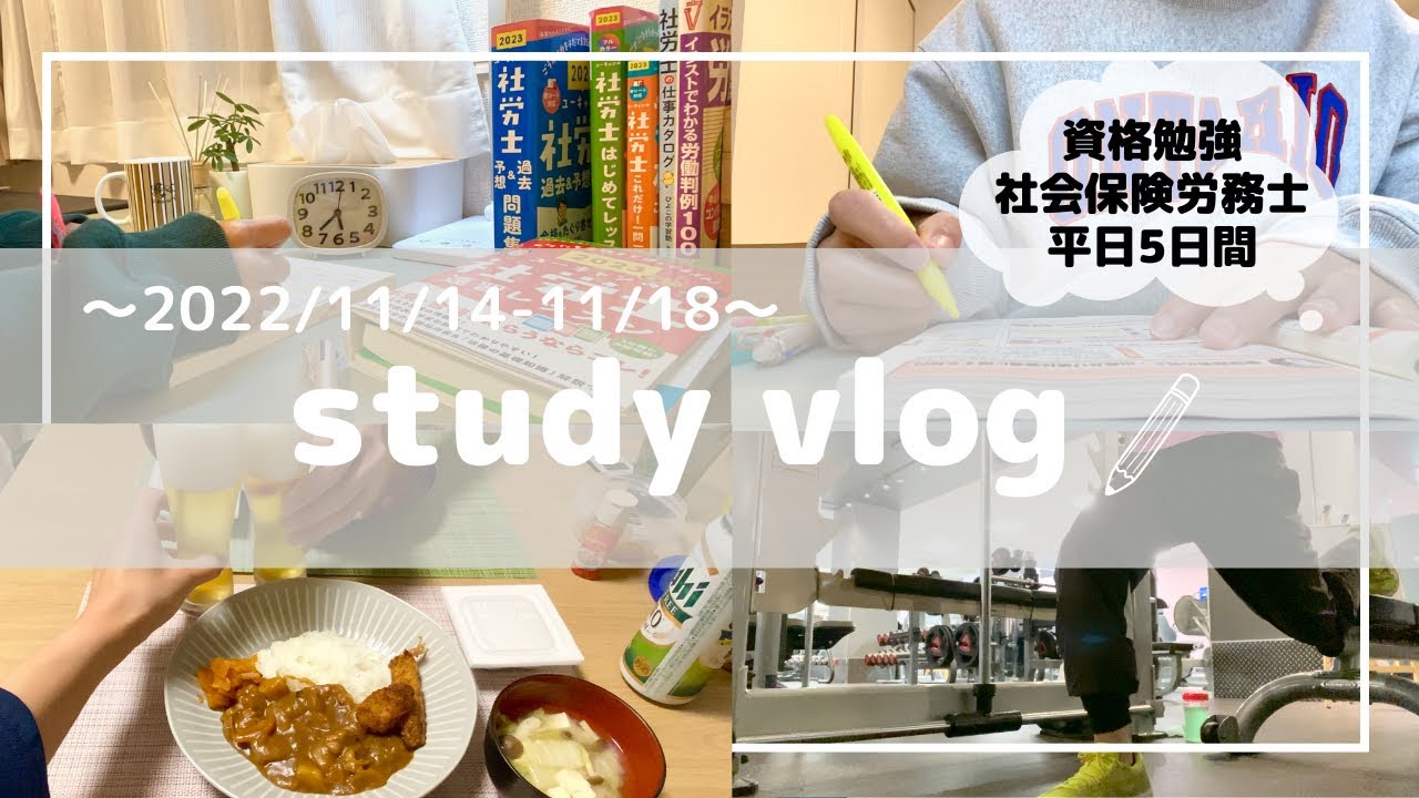 【studyvlog】自分の人生は自分で選択する！ l  平日5日間  l  30時間資格勉強  l  社労士