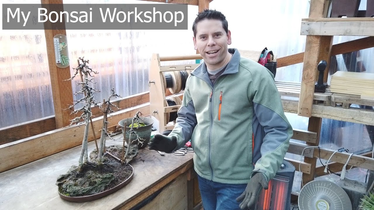My Bonsai Workshop