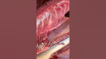 Ăn Cá Ngừ Sống Tại Bàn - Chef Hoshi Phan