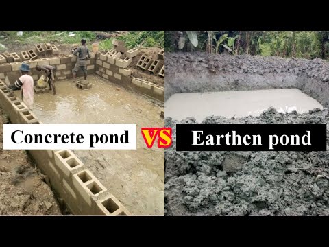 Between Concrete pond and Earthen pond: which one is better?