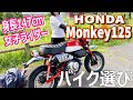 【ソロバイク選び】ホンダバイク モンキー125に初試乗！新型 Monkey125 パールネビュラレッド