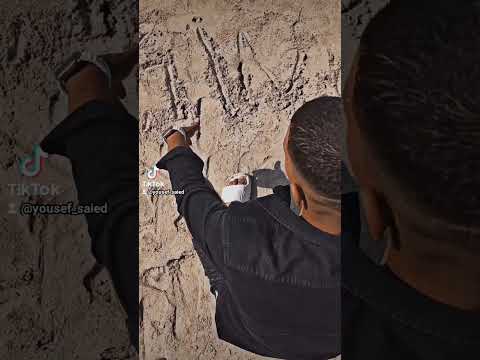 كلها رعاع وبتتباع