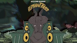 SKG'S DUB ALLIANCE - GLORY