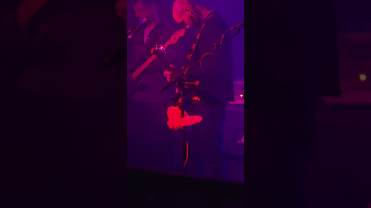 Liam Creedon - Pink Floyd - Comfortably Numb Last Solo