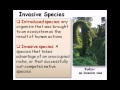 Invasive Species: Understanding Their Impact on Ecosystems