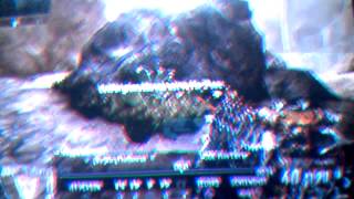 Map 2 forfeit