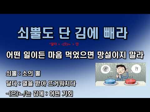 [한국어 여행] 소와 관련있는 속담