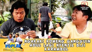 NGAKAK! KELAKUAN KOMENG GANGGUIN ADUL LAGI ASIK NYENTIL BIJI KARAMBOL BARENG TETANGGA - KOPLAK