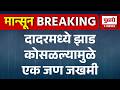 Dadar News, Dadar Tree Fall | दादरमध्ये झाड कोसळल्यामुळे एक जण जखमी