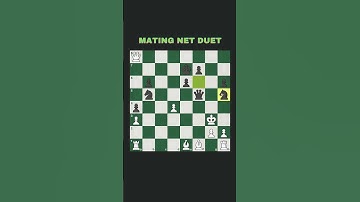 Mating Net Duet  #chess  #chesspuzzle #chessmaster #checkmate #chessmates #chessplayer #chessgame