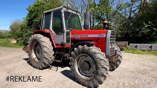 Massey Ferguson 699 for sale at Klaravik *Annonce*