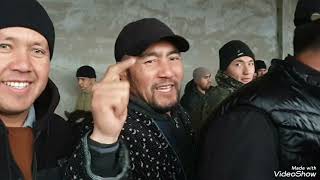 : SAMARQAND OQDARYO YANGIQURGON MOL BOZORI DAXSHAT BOMBA NARX CATTLE