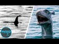 The Mystery of the Loch Ness Monster Explained