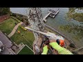 Tree limbing