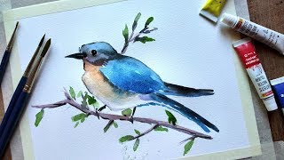 bird easy watercolor painting paint beginners