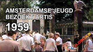 Download Lagu 1959 - Amsterdamse Jeugd Bezoekt Artis @WalkWatch01 MP3 Download Lagu 1959 - Amsterdamse Jeugd Bezoekt Artis @WalkWatch01 MP3