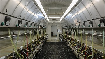 Allflex Milking Points Tutorial