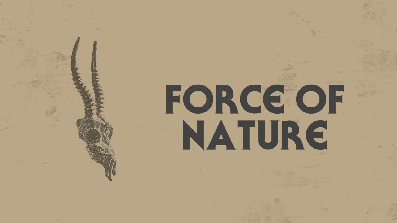 Wilson - Force Of Nature (Lyric Video) - YouTube