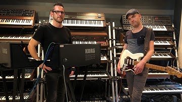 Housewife - Daan, on two Korg MS-20