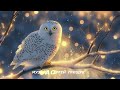 ДУШЕВНАЯ ТИШИНА Солнце в каждом звуке счастье льётся рекой красиваямузыка музыкальность ДУШЕВНАЯ ТИШИНА Солнце в каждом звуке счастье льётся рекой красиваямузыка музыкальность