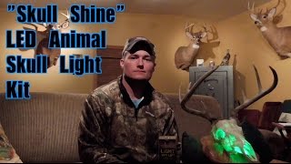 Skull Shine LED Skull Mount Lighting Kit