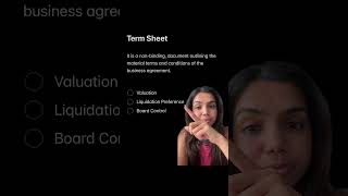 What is a Term Sheet?