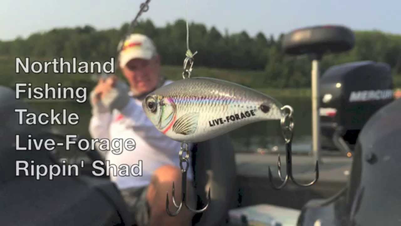 northland rippin shad