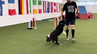 Proofing Contacts at an Agility Trial with FEO/NFC